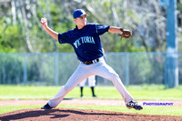 2016 Victoria Eagles Baseball Club