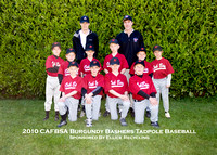 Tadpole 2 - Burgundy Bashers