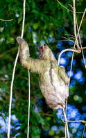 Costa Rica November 2018