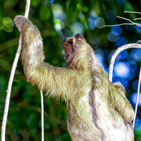Costa Rica November 2018