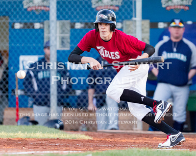 2014 Victoria Eagles Baseball Club