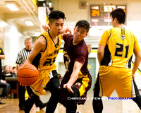 2016-2017 Lower Vancouver Island High School Basketball