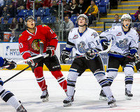 2013-2014 Victoria Royals Hockey Club