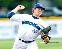 2016 Victoria HarbourCats Baseball Club