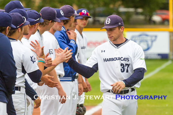 2017 Victoria HarbourCats Baseball Club