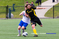 Vancouver Island Soccer League