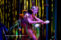 Cirque Du Soleil - Varekai