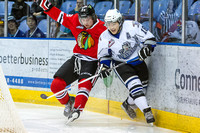 2013-2014 Victoria Royals Hockey Club