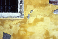 Wall Detail, Venice