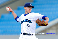 2016 Victoria HarbourCats Baseball Club