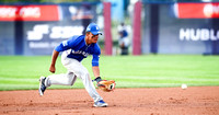 2017 WBSC U18 World Cup