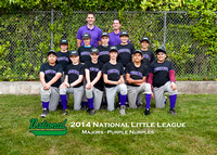 2014 National Little League