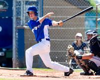 2013 Victoria Eagles Baseball Club