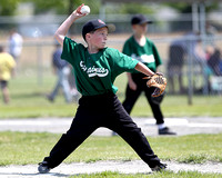2012 Tadpole Regional Baseball Championships