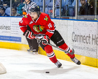 2013-2014 Victoria Royals Hockey Club