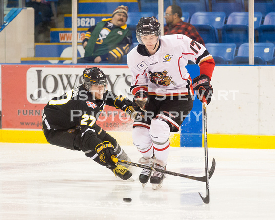 2014-2015 Victoria Grizzlies Hockey Club