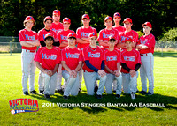 2011 Victoria Stingers Bantam AA