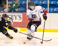 2014-2015 Victoria Grizzlies Hockey Club