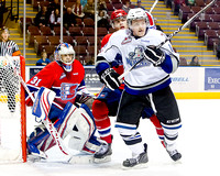 2011-2012 Victoria Royals Hockey Club