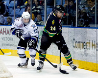 2012-2013 Victoria Royals Hockey Club
