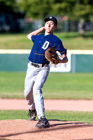 2017 Greater Victoria Baseball Association