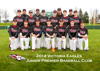 2014 Junior Premier Eagles. Team Photo and Headshots