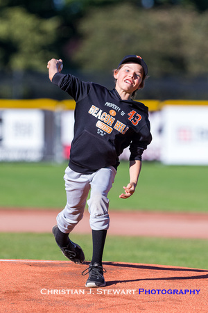 2017 Victoria HarbourCats Baseball Club