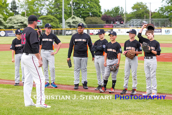 2017 Victoria HarbourCats Baseball Club