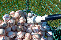 2014 Victoria HarbourCats Baseball Club