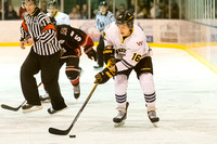 2014-2015 Victoria Grizzlies Hockey Club