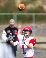 2016 Mt. Doug Rams Football
