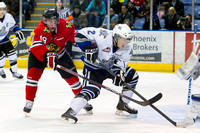 2012-2013 Victoria Royals Hockey Club