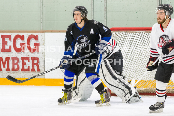 2014-2015 Saanich Braves Junior B Hockey Club
