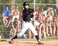 2014 Victoria Eagles Baseball Club