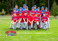 2011 Victoria Wildcats Pee Wee AA