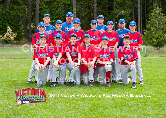 2011 Victoria Wildcats Pee Wee AA