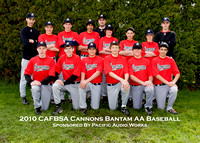 Bantam AA - Cannons