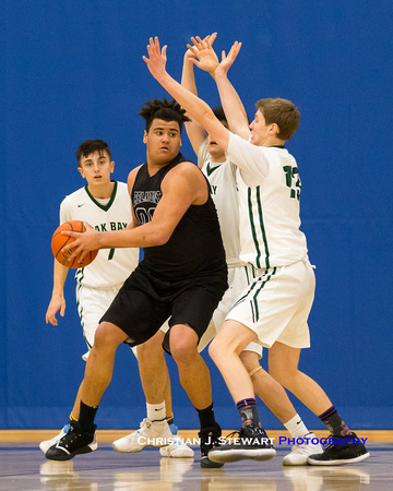 2016-2017 Lower Vancouver Island High School Basketball