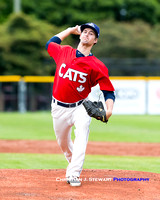 2016 Victoria HarbourCats Baseball Club