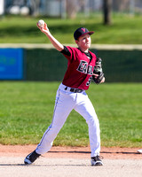 2019 Victoria Eagles Baseball Club