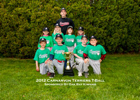 T-Ball Terriers