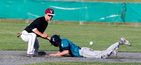 2015 Victoria Eagles Baseball Club