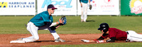 2015 Victoria Eagles Baseball Club