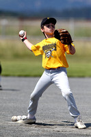 2012 Tadpole Regional Baseball Championships