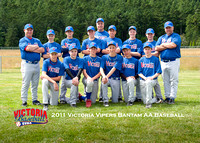 2011 Victoria Vipers Bantam AA