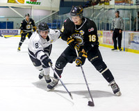 Victoria Grizzlies vs Salmon Arm Silverbacks, Oct.17, 2014