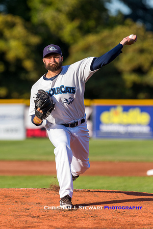 2016 Victoria HarbourCats Baseball Club