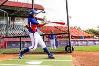 2017 WBSC U18 World Cup