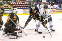 2015-2016 Victoria Grizzlies Hockey Club