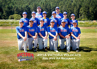 2014 Victoria HarbourCats Baseball Club